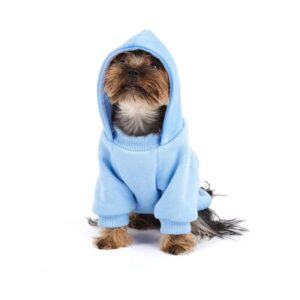 Jak uszyć modne ubranka dla psa – poradnik dla początkujących