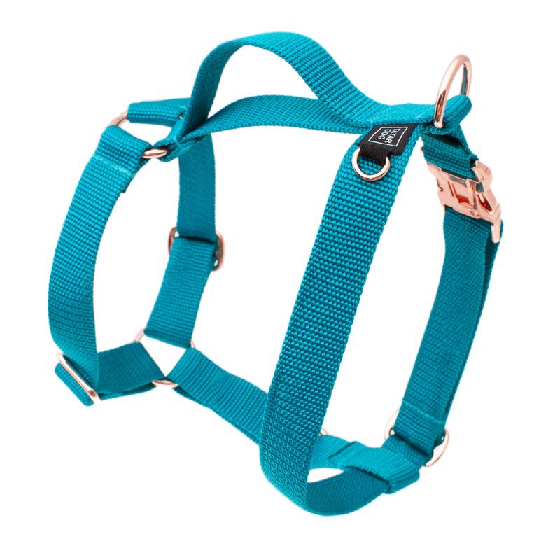 Dobór rozmiaru szelek dla psa