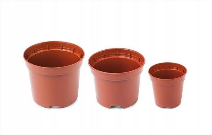 Dobór rozmiaru doniczki