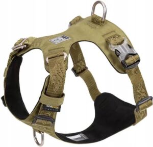 Odkryj, jaki rozmiar szelek najlepiej sprawdzi się dla twojego shih tzu