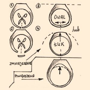Sposoby na to, jak zmniejszyć rozmiar pierścionka w prosty sposób